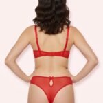 Red Lace Bra Set