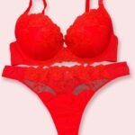 Red Lace Bra Set
